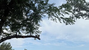 Un espace extérieur aménagé avec une table et des chaises, offrant une vue sur un paysage montagneux.