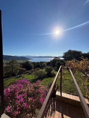Property grounds - Traditional Corsican house between sea and scrub (Serra-di-Ferro)