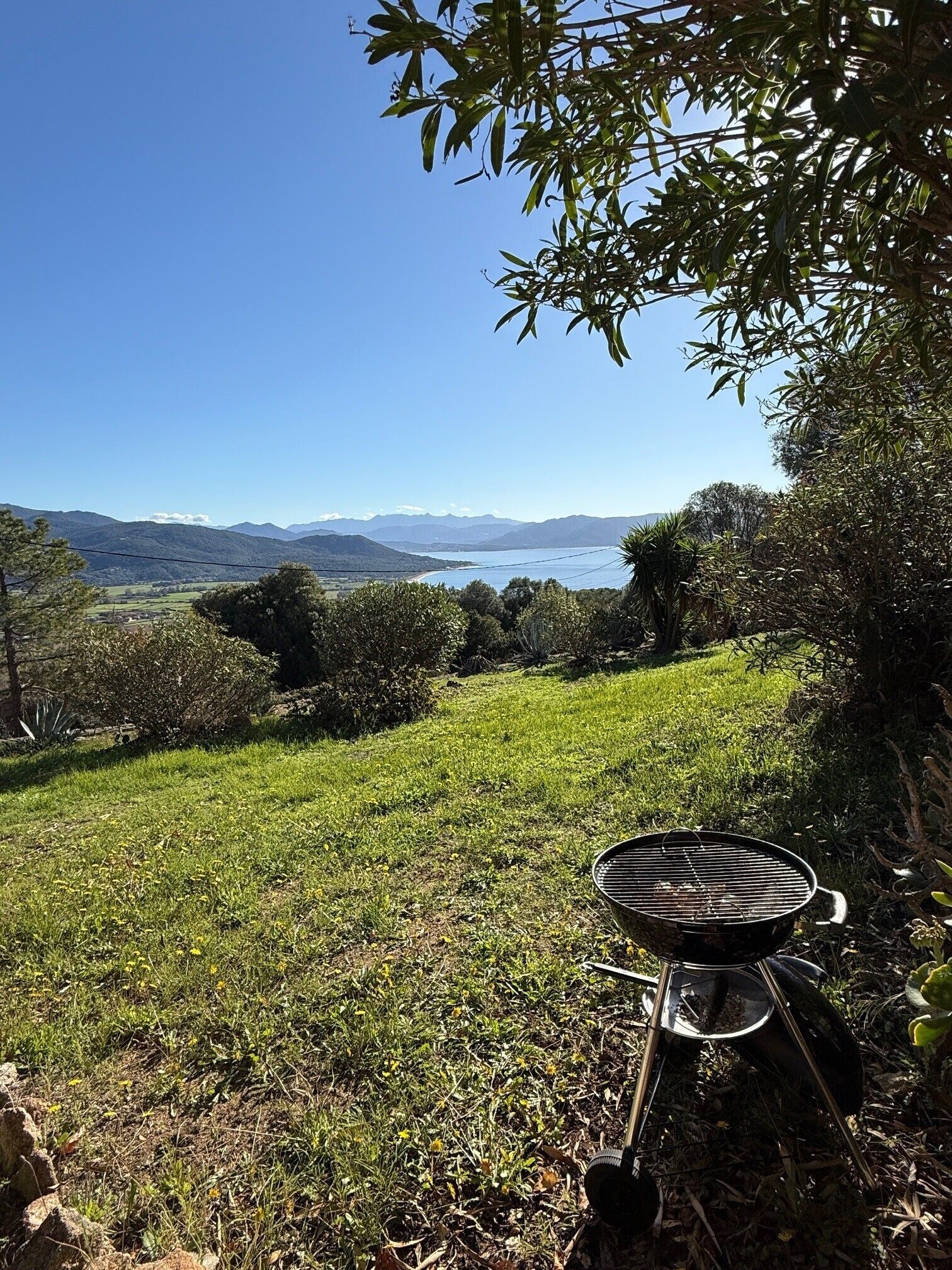 Un espace extérieur verdoyant, avec un barbecue, entouré d’arbres et avec des collines en arrière-plan.