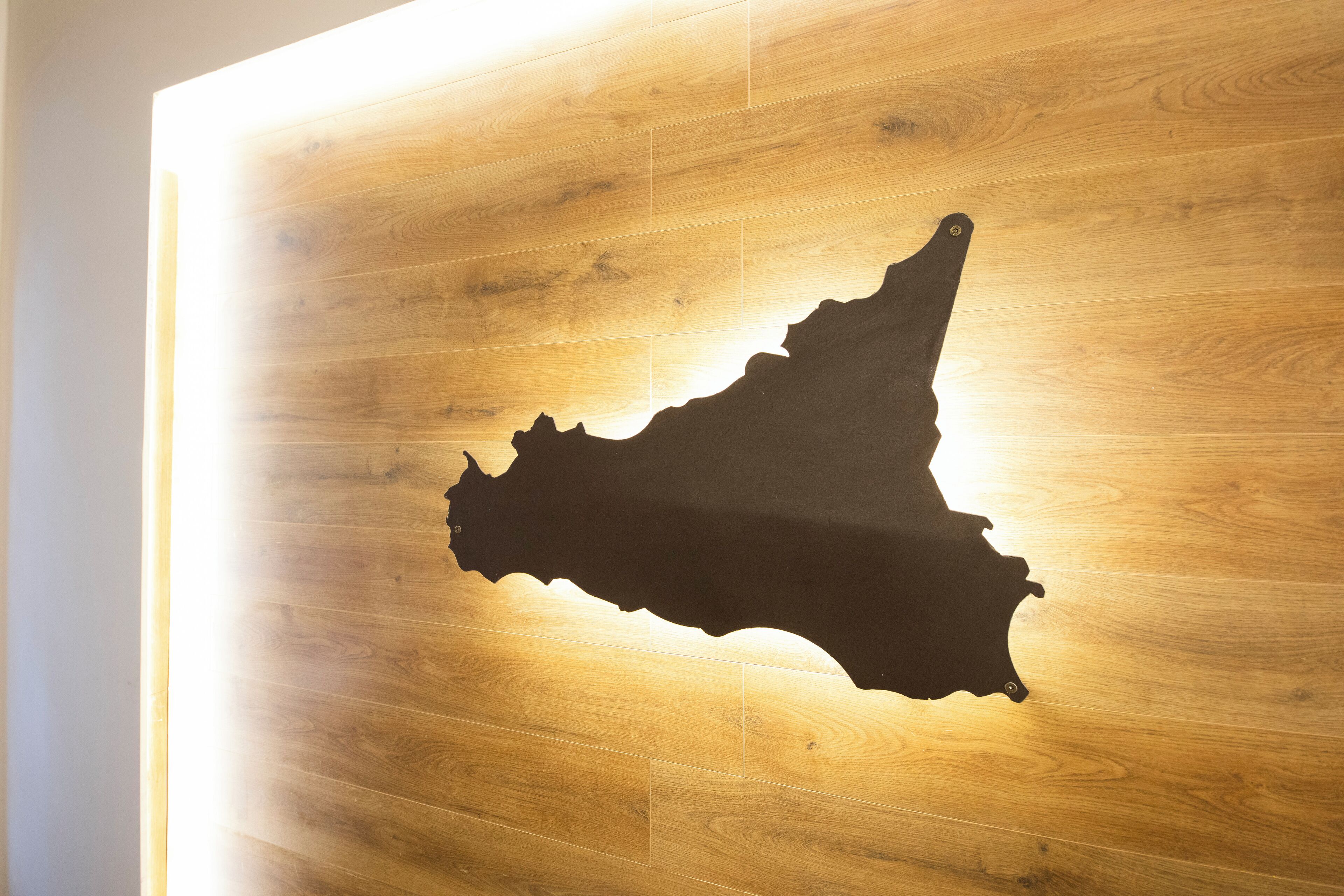 Una pared de madera con el silueta oscura de un mapa.