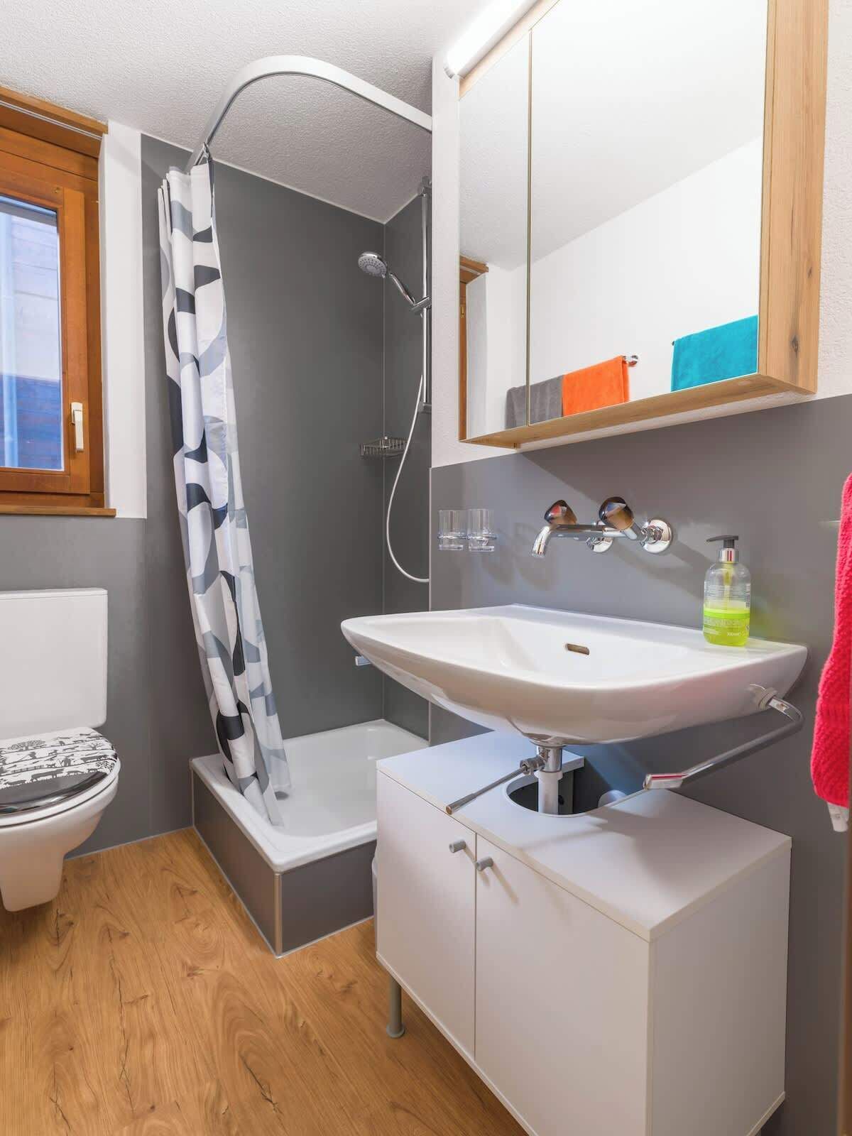 Douche, articles de toilette (gratuits), séchoir à cheveux