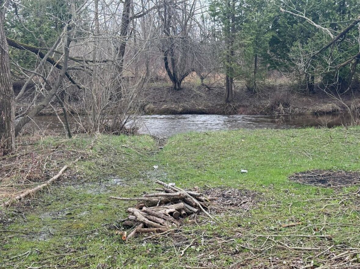 A natural outdoor setting with a small stream, surrounded by trees and grass.