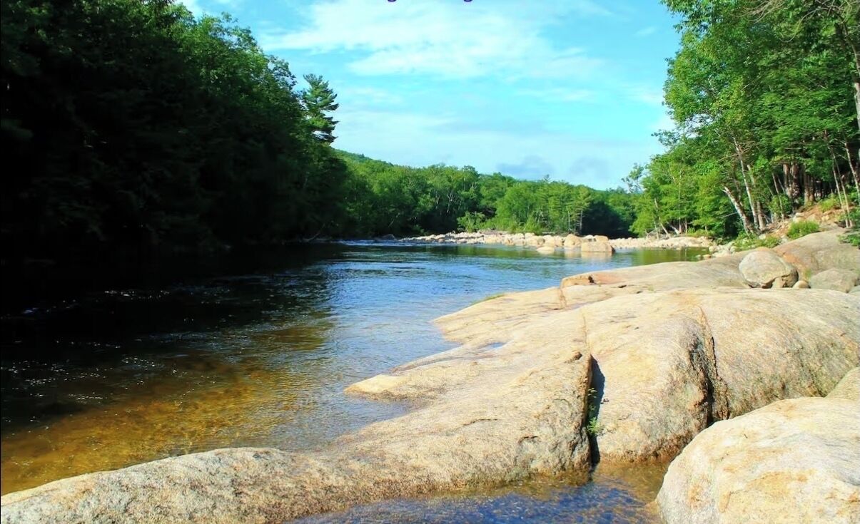 Ein Fluss fließt durch eine bewaldete Gegend mit großen Felsen im Vordergrund.