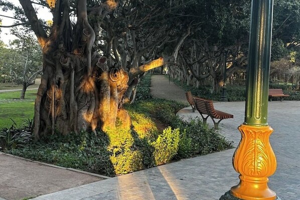 Terrein van de accommodatie