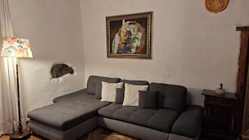 تلفزيون، مدفأة، كُتُب