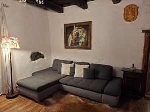 TV, fireplace, books - Apartment Donaustrand (Urfahr)