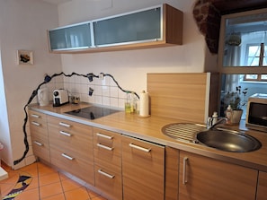 Frigorífico, microondas, horno y placa de cocina