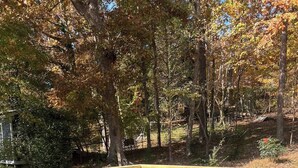 A wooden deck with a railing, surrounded by trees with autumn foliage.