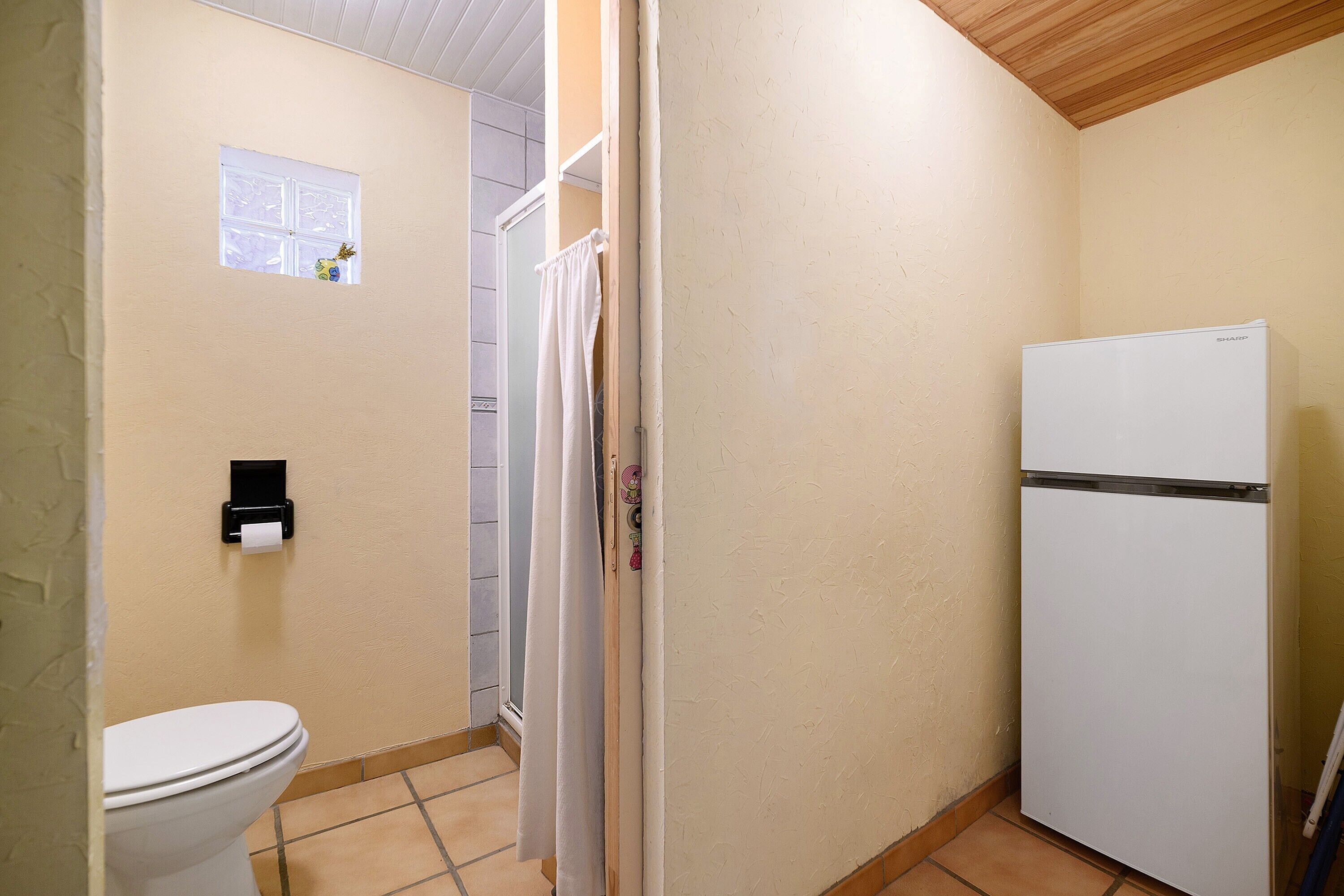 Shower, hair dryer