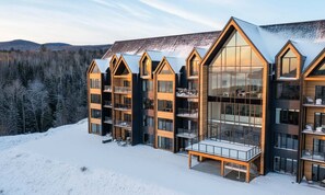 Unclassified image, 3 of 64, button - 309 - Modern condo | River View & Pool (Baie-Saint-Paul)