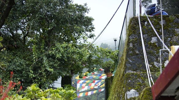 A stone staircase with moss-covered walls, leading up to a colorful structure. - The Perfect Hideout By Himalayan Grove (Dehradun)