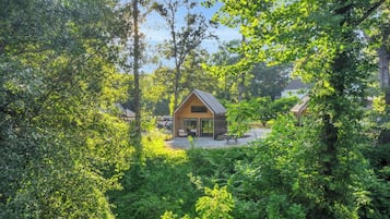 A small, single-story house surrounded by dense greenery, with a clear sky above.