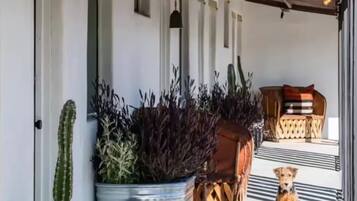 DĂ©tail de lâextĂ©rieur