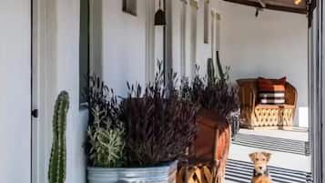 DĂ©tail de lâextĂ©rieur