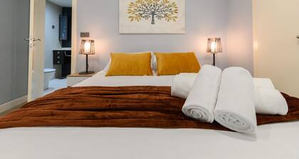 Cozy Duplex with Open Kitchen and Private Suite in Madrid LDM11034