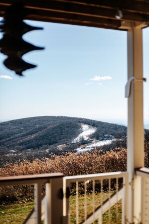Interior - Firefly on The Ridge: Stunning Mountain Views (Wintergreen Resort)