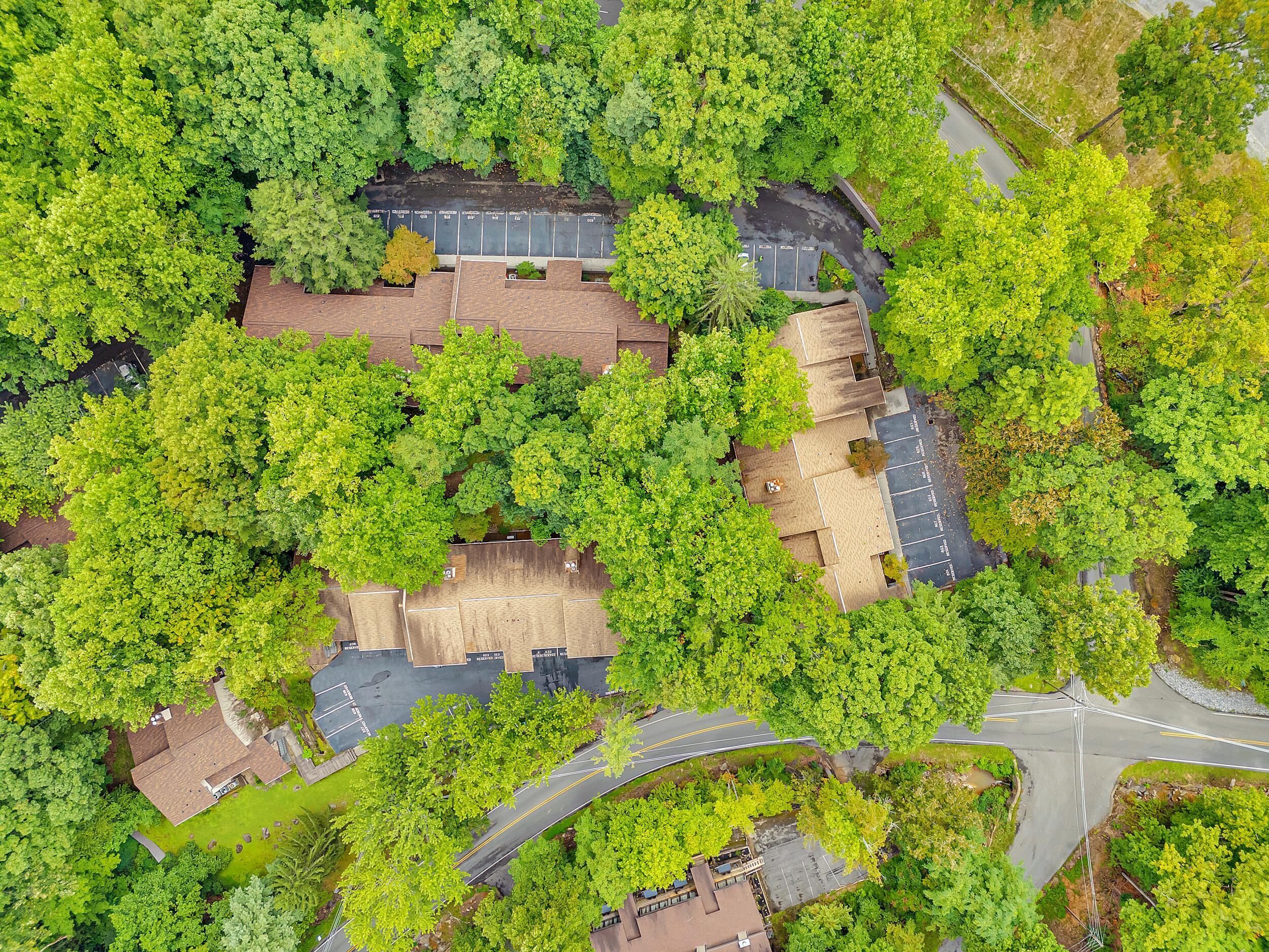 Condo, Multiple Beds (Bear Hug Hideaway #368) | Exterior