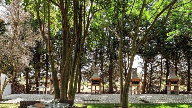 Un área de estar al aire libre con mesas y sillas, rodeada de árboles y una parrilla.