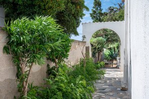 A narrow stone pathway leading to an arched entrance, surrounded by lush greenery and a white wall. - Bonavista Holiday Villa with Sea View, Wi-Fi and Air Conditioning (Torre Lapillo)