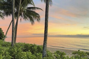 Une plage bordée de palmiers, avec un coucher de soleil.