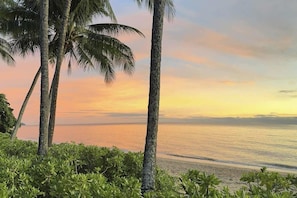Beach - Laguna Edge—Swim-Out Studio, near Sea & Dining (Trinity Beach)