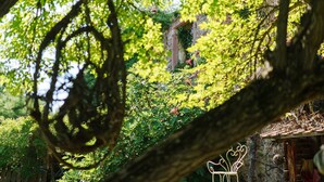 A rustic stone building with a wooden door and a small garden area. - Gîte La Schlàppe / 3 persons (HERRLISHEIM PRES COLMAR)
