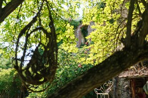 Property grounds - Gîte La Schlàppe / 3 persons (HERRLISHEIM PRES COLMAR)