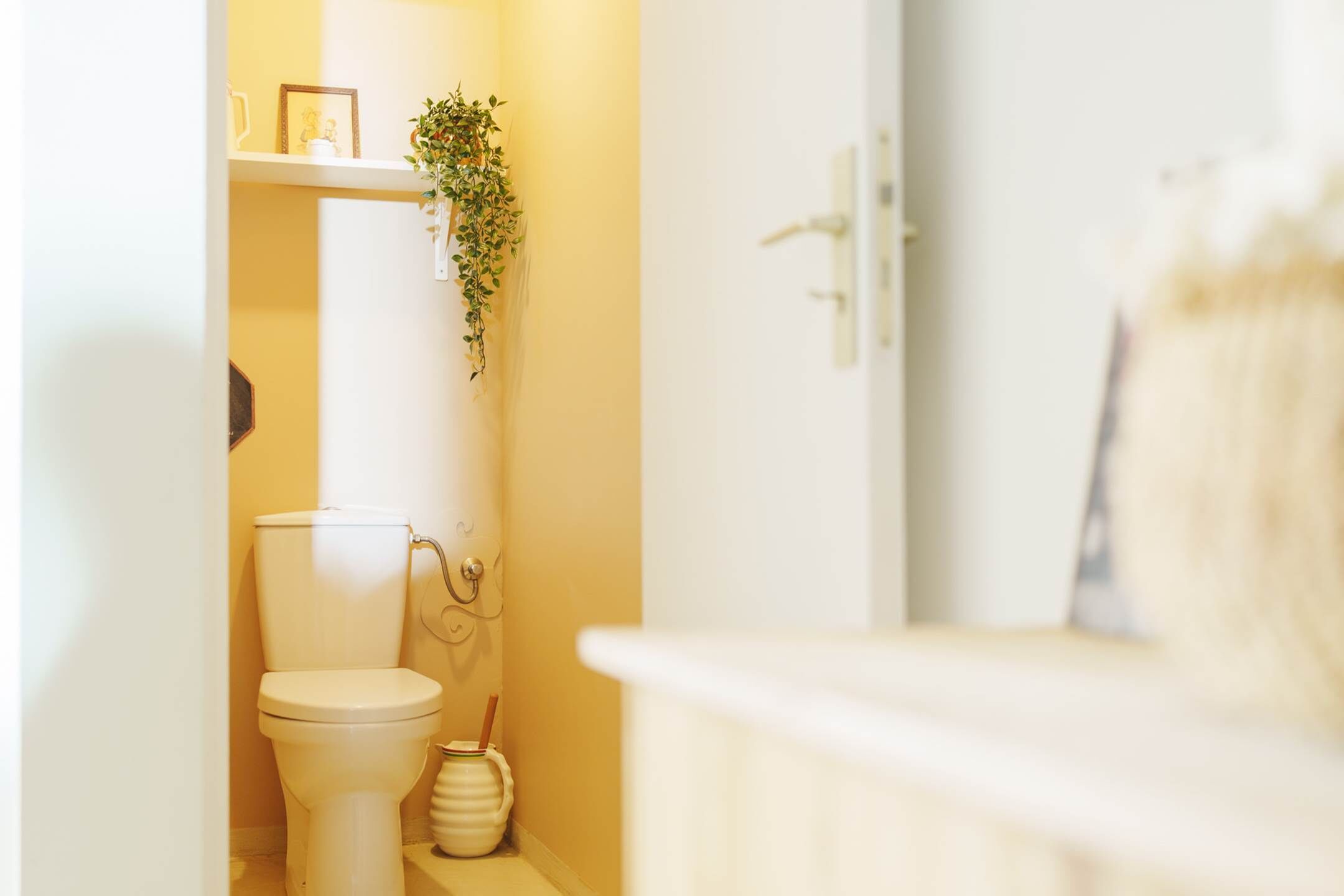 Ein Badezimmer mit Toilette, einem Regal mit Pflanze und einer Tür mit Handtuchhalter.