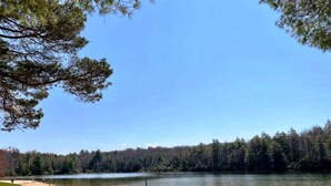 A lake with a sandy beach and dense forest in the background. - BEAUTY AND PRIVACY LIKE NO OTHER!   WALK TO LAKE.  CLOSE TO EVERYTHING POCONOS! (Jim Thorpe)