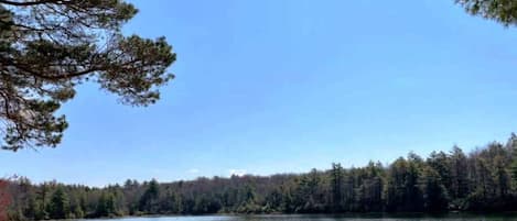 Un lago con una playa arenosa y un bosque denso al fondo.