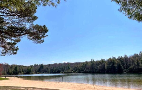 A lake with a sandy beach and dense forest in the background.