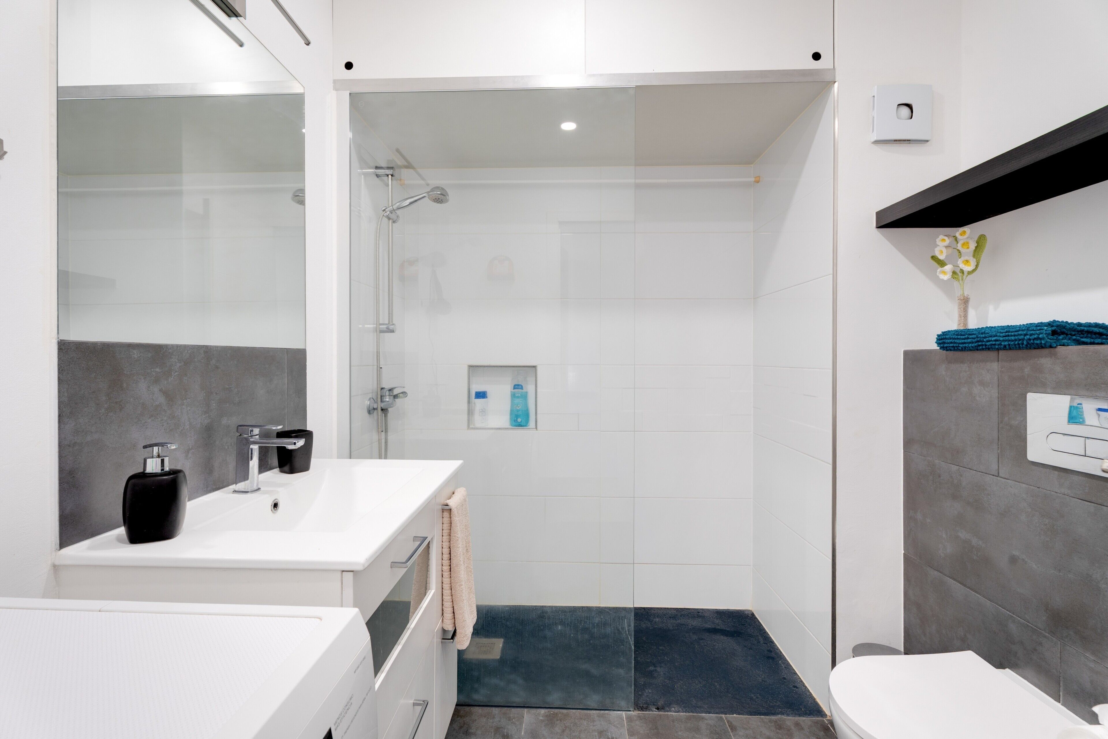 Shower, hair dryer, towels