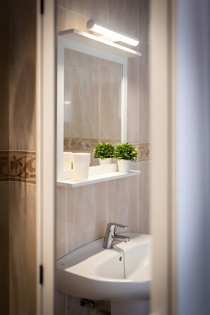 Ducha, secador de pelo y toallas