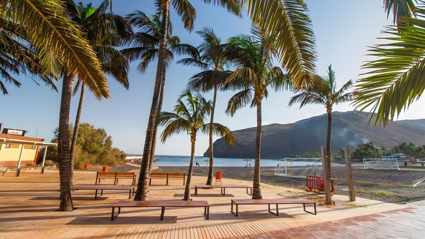Ein Strand mit Palmen, Bänken und Blick aufs Meer.