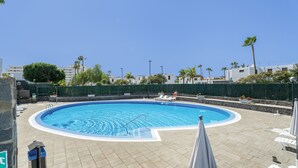 Una piscina con bordo piastrellato, sdraio e una palma sullo sfondo.