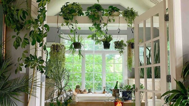 A conservatory with a variety of potted plants, a stone bench, and a view of the outdoors through large windows. - Unique Luxury Central Historic Landmark Home (Lambertville)