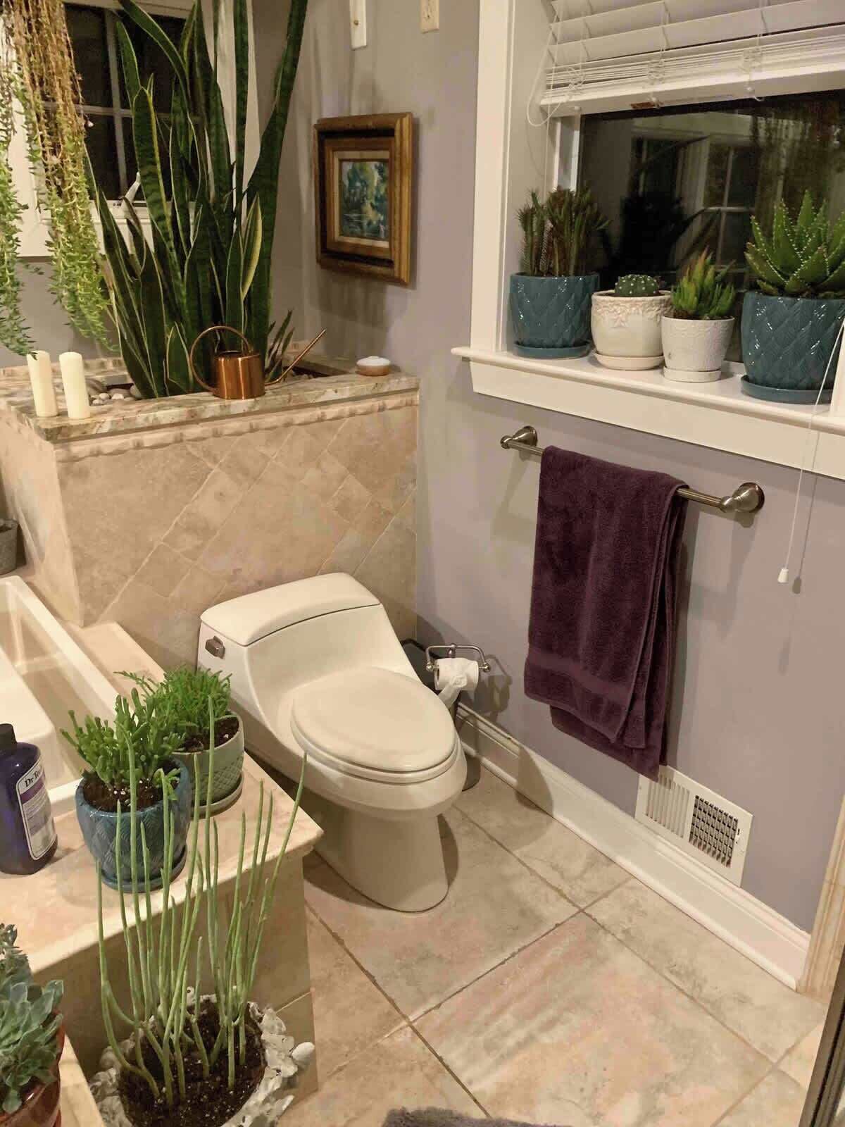 A bathroom with a toilet, sink, and various potted plants.