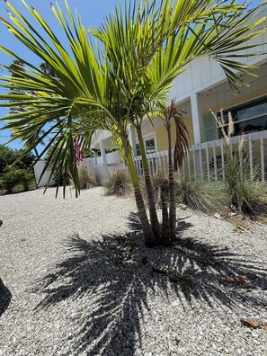 Property grounds - Cozy cottage close to beach, nature and culture (Nokomis)