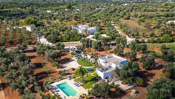 Vista aérea de una zona residencial con casas, olivares y una piscina.