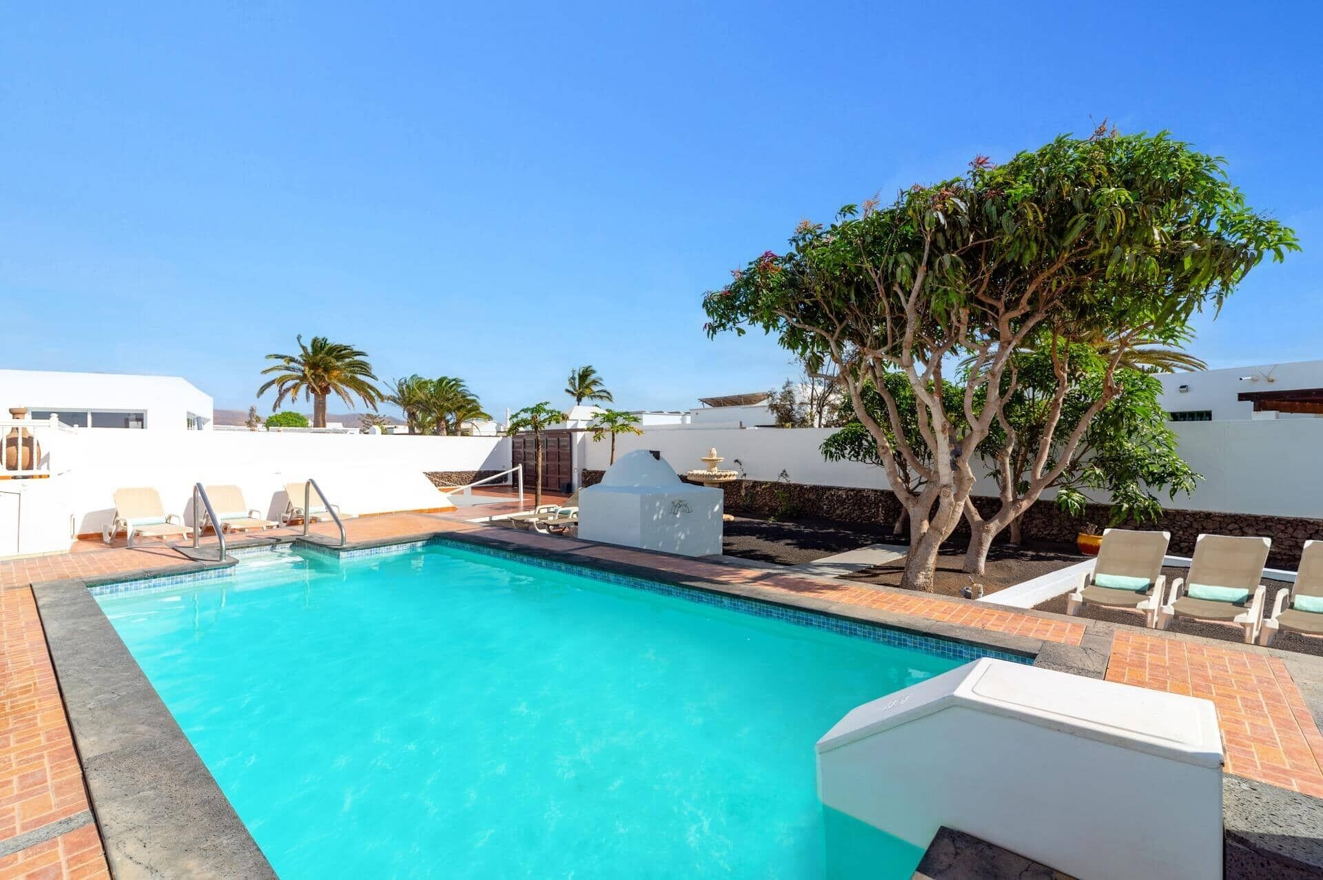 Une piscine avec des chaises longues et un arbre.