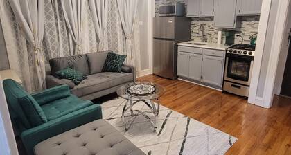 Gem Near St Francis Hospital and Northwestern University