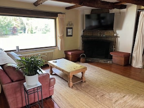 Fernseher, Kamin