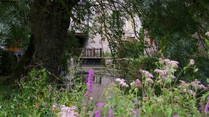 Een tuin met een vijver, omringd door bomen en diverse planten.