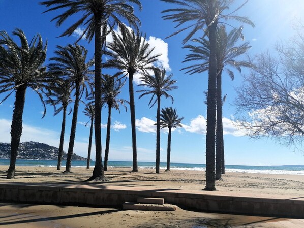 Playa