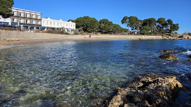 A coastal hotel with a clear view of the sea, a stone wall, and a row of trees. - Cozy apartment with terrace and pool 50m from the beach (L'Escala)
