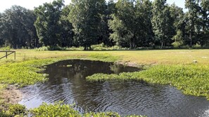 شقة (1 Bedroom) | مخطط تصميم الطابق