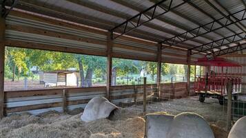 Apartment (1 Bedroom) | Floor plan