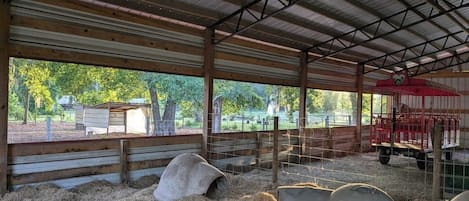 Departamento (1 Bedroom) | Plano