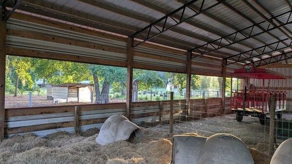 Apartment (1 Bedroom) | Floor plan