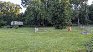 House (3 Bedrooms) | Floor plan